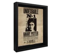 Cadre Harry Potter Effet Animé 3D