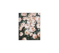 Cadre Huile Roses Bois de pin (80 X 4 x 100 cm)