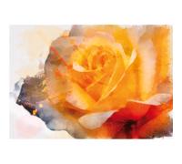 Cadre JAUNE ROSE G4240 PINTDECOR