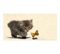 Cadre KITTEN ET PAPILLON G1588 PINTDECOR