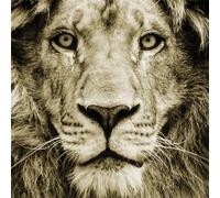 Cadre LION G3286 PINTDECOR