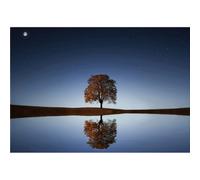 Cadre MIROIR G5306 PINTDECOR