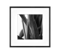 Cadre mural en m tal de fonderie MCS Master & Co., noir, 30,5 x 30,5 cm, passe-partout, 20,3 x 20,3 cm