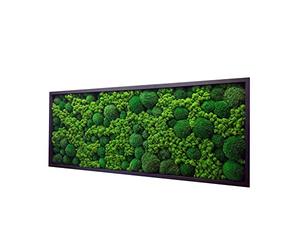 Cadre mural mousse stabilisée rectangulaire - décoration murale végétale naturelle intérieur - tableau végétal sans entretien pour salon bureau entrée - cadre métal (noir, 120 x 50 cm)