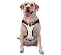Cadre Ovale Vintage avec Roses Roses,Harnais pour Animaux de Compagnie, Harnais réfléchissant réglable pour Chien,L