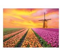 Cadre PAYSAGES PAYS-BAS G4130 PINTDECOR