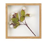 Cadre photo 3D à remplir, cadre photo 3D profond à remplir, cadre d'objets de 3 cm de profondeur avec plaque acrylique transparente pour photos, médailles, cadeaux, fleurs séchées, vitrine, 20 x 20 cm