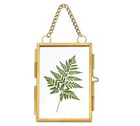 Cadre Photo avec Chaîne - Cadre d'image en laiton pour écran mural, cadre en verre 2x3 pouces | Cadre d'art décoratif, écran de fleurs pressé, élégant cadre suspendu