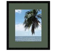 Cadre Photo avec Passe-Partout Vert Foret Cadre Photo Mural pour Image 24x27 / 24 x 27 cm Cadre Noir, 2 cm de Largeur, Cadre en Bois