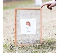 Cadre Photo, Cadres Photo rectangulaires en Bois A4/A3, herbier en Verre Transparent Double Face for Cadres de Fleurs pressées, Affichage de Feuilles séchées, Bureau (Color : Zelkova, Size : A3 (inn