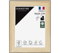 Brio Cadre Newton 18x24 Bois et noir