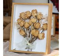 Cadre photo décoratif flottant en bois avec porte en verre - 20,3 x 25,4 cm (couleur primaire)