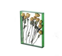 Cadre photo en acrylique - 26 x 31 cm - Boîte de présentation à faire soi-même pour fleurs séchées ou coquillages - Décoration murale spacieuse et transparente pour la maison et le bureau (vert)