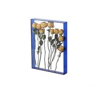 Cadre photo en acrylique - 26 x 31 cm - Boîte de présentation à faire soi-même pour fleurs séchées ou coquillages - Décoration murale transparente pour la maison et le bureau (bleu)