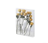 Cadre photo en acrylique - 26 x 31 cm - Boîte de présentation à faire soi-même pour fleurs séchées ou coquillages - Décoration murale pour la maison, le bureau (transparent)