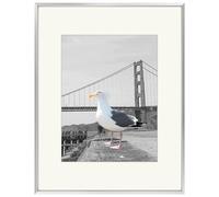 Cadre photo Frametory 16x20 en aluminium avec passe-partout couleur ivoire pour photo 11x14 et cadre photo en verre v ritable (pack de 1)