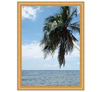 Cadre Photo Mural 22x31 / 22 x 31 cm Cadre Or Classic Fancy, 4.2 cm de Largeur, Cadre en Bois