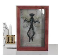 Cadre photo mystérieux - Cadre photo curiosité en résine - Décoration gothique pour la maison - Présentoir de copie de momies - Cadre pour animal de compagnie - Décoration murale pour cabine de