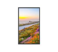 Cadre photo numérique 32 pouces, écran Full HD 1920*1080 IPS, facile à installer, version autonome/réseau en option, télécommande, haut-parleurs intégrés, montage mural ( Color : Black , Size : Withou