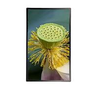 Cadre photo numérique 32 pouces, Full HD 1920 x 1080, écran vertical, montage mural, détecteur de mouvement, installation facile