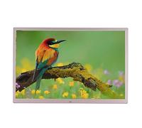 Cadre Photo numérique en métal de 15,4 Pouces, écran HD avec télécommande, support vidéo et Musique, diaporama, adapté aux Personnes âgées (Color : Gold)