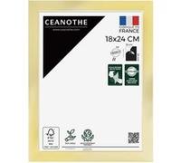 Cadre photo Precious doré 18x24 cm CEANOTHE en résine recyclée Verre acrylique Incassable - Fabriqué en France Doré G