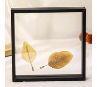 Cadre photo transparent double face avec échantillons de feuilles séchées, affichage de table pour carrés de 12,7 à 20,3 cm et A4 (noir, 20,3 cm) - Parfait pour la décoration d'intérieur et les