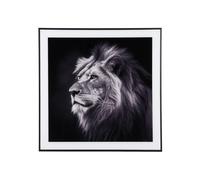 Cadre photo verre Present Time Lion Noir 50 cm