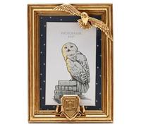 Cadre photo Widdop & Co Harry Potter Hedwig DorÃ© TU