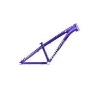 Cadre Radio Bike Griffin Pro Violet