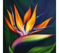 Cadre STRELITZIA G1114 PINTDECOR