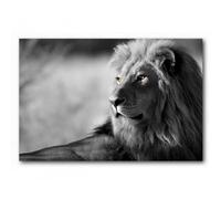 Cadre toile Lion - fauve - félin - 60 x 40 cm