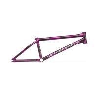 Cadre Wethepeople Network Dan Kruk Signature Violet