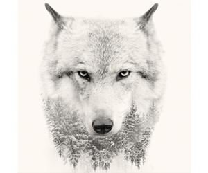 Cadre WHITE WOLF G3322 PINTDECOR