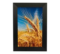 Cadres Photo numériques 10 Pouces, Prend en Charge Le Lecteur publicitaire Tactile Intelligent HD pour la Lecture Photo/vidéo/Connexion WiFi Cadeau décoratif