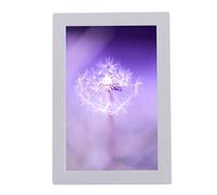 Cadres Photo numériques 12 Pouces Multifonctions pour Un Usage Domestique, Lecteur publicitaire HD de résolution 1280 × 800, Cadeau décoratif Mural