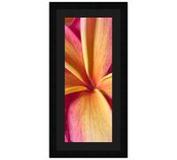 Cadres Photos pêle mêle multivues Noir 1 Photo(s) 20x50 Passe Partout, Cadre Photo Mural 25x55 cm Noir, 3 cm de Largeur