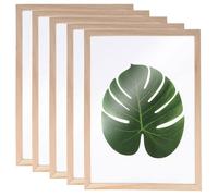 Cadres pour herbier - ARTEMIO - A4 - 5 cadres en bois - Démontables - Crochet de suspension