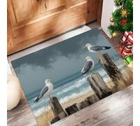 CAEITLRSO paillasson Guérison Bord De Mer, Plage Moulins, TPR caoutchouté, Robuste, antidérapant, imperméable, pour Toutes Saisons, pour Patio, entrée, Porche, 60x90cm