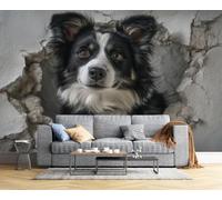 CAEITLRSO Papier Peint Animaux Réalistes Mignons, 3D Panoramique Papier Peint Percée Border Collie, Papier Mural Decoratif Pour Salon, Chambre, Décoration Murale 450x315cm