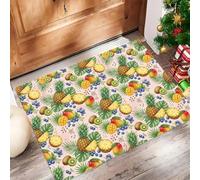CAEITLRSO Tapis d’entrée intérieur - paillasson Lavable à Motifs Tropical Forêt Tropicale, Tapis antidérapant pour entrée, Cuisine ou Chambre, paillasson rectangulaire Été Fruits, 60x90cm