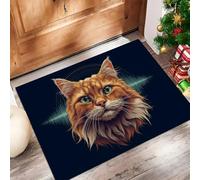 CAEITLRSO Tapis Salon Lavable en Machine, Animaux Portraits Tapis de Chambre à Poils Courts, Échographie Chats Antidérapant et Doux, Idéal pour Bureau ou Chambre d'enfant, Couleur Orange, 50x80cm