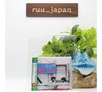 CAETANO VELOSO & GAL COSTA-DOMINGO-JAPAN CD Ltd/Ed Nouveau