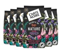 CARTE NOIRE - Café Grain Carte Noire "Secrets de Nature" - Congusta & Mundo Novo - Certifié Rainforest Alliance - Paquet de 6 kg - Fabriqué en France