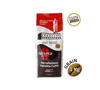 Café grain 100% ARABICA - 1 Kg - TORVECA - Conditionnement : 1 Kg