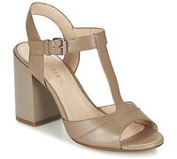 Café Noir Sandales GIMOTTI in Marron 40