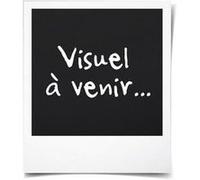 Russell Hobbs Cafetière programmable Luna 23241-56 1,5 L (12 tasses) Gris/Inox