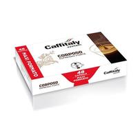 Caffitaly Café Capsules Riche 96 Capsules Système Caffitaly - Café Fort Robusta Arabica Blend - Boîte de 96 Unités