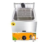 CAFIEDR Friteuse à gaz Propane en Acier Inoxydable, Grand modèle, avec Panier et Couvercle, pour Cuisine/Restaurant/Restauration Rapide, monocylindre.