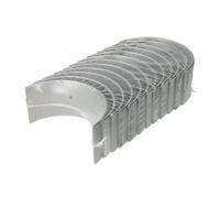 Cage à aiguilles MAHLE 038 PS 20862 000